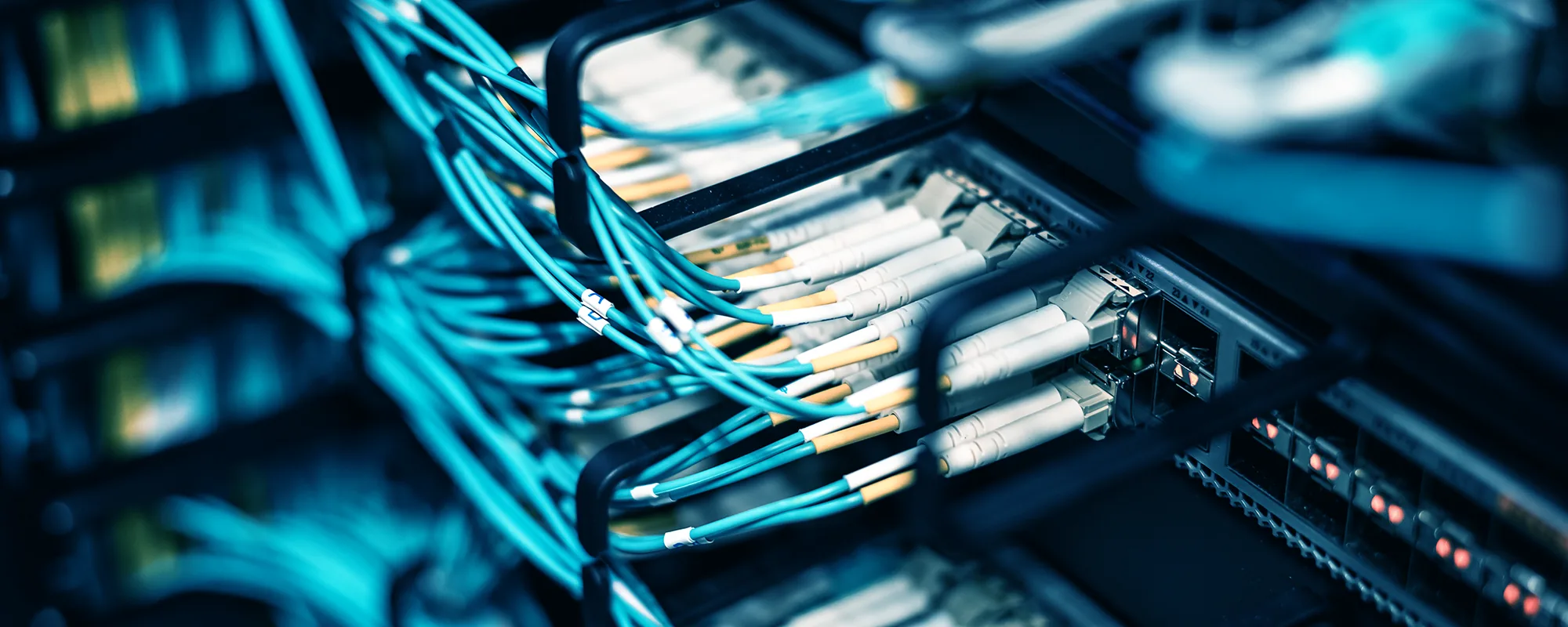 Panel de fibra óptica con latiguillos turquesa conectados a un switch de rack